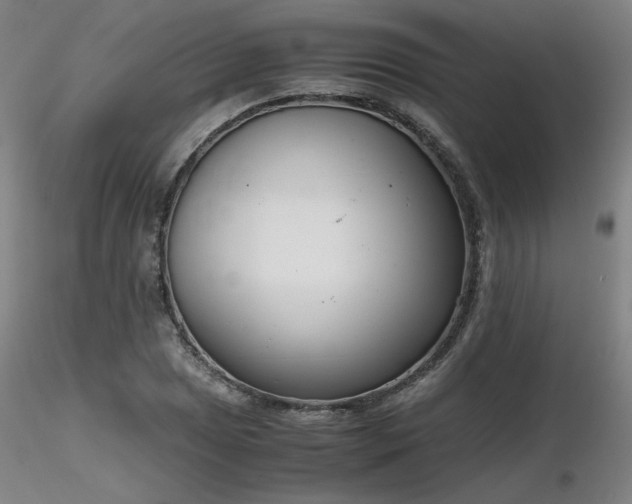 X0000116821025200912181403