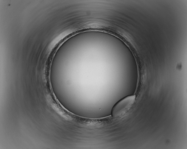 X0000116821026200912181403