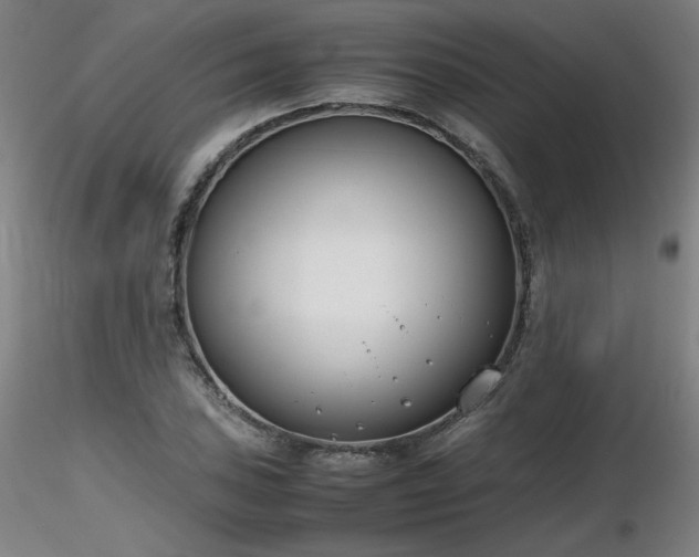 X0000116821027200912181403