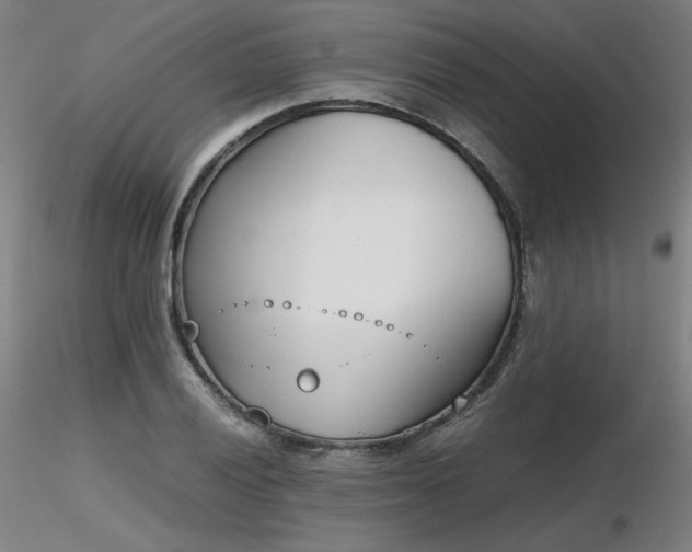 X0000116821028200912181403
