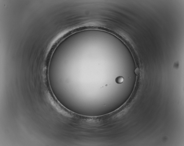 X0000116821029200912181403