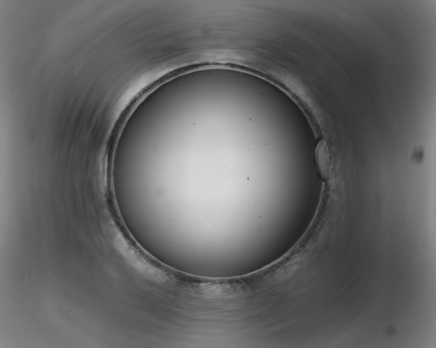 X0000116821032200912181403