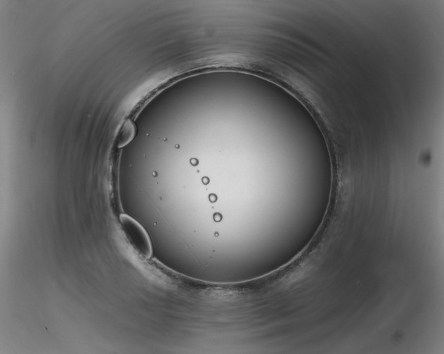 X0000116821034200912181403