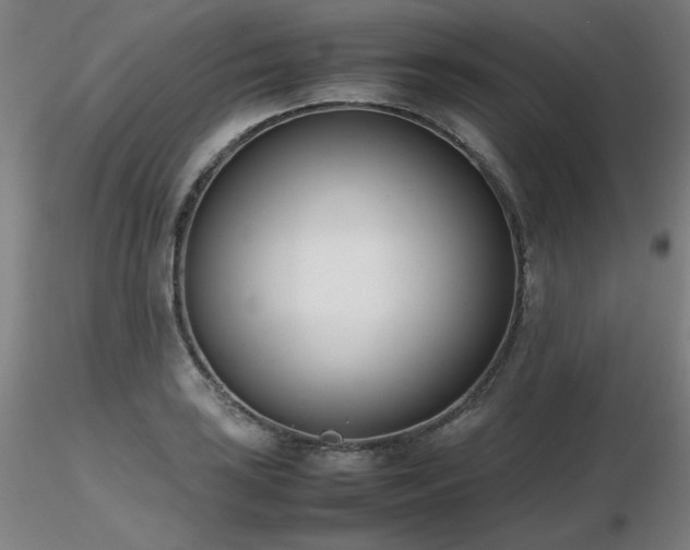X0000116821035200912181403
