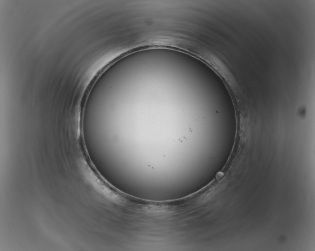X0000116821036200912181403
