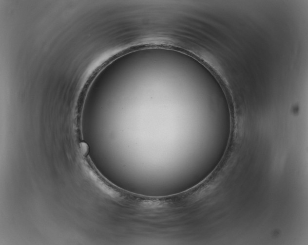 X0000116821037200912181403