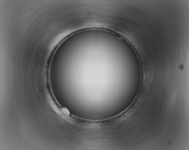 X0000116821038200912181403