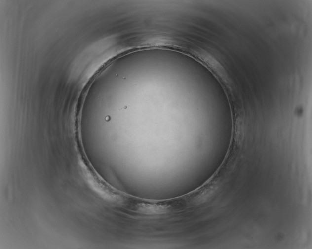X0000116821039200912181403