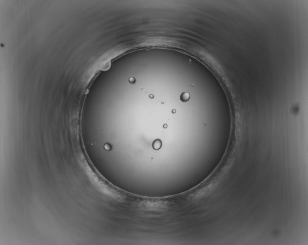 X0000116821041200912181403