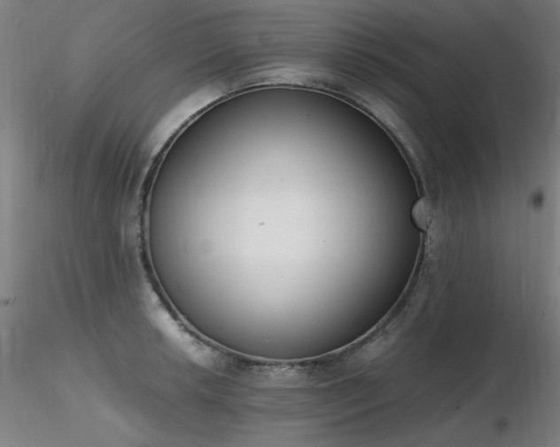 X0000116821042200912181403