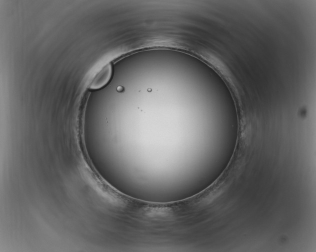 X0000116821043200912181403