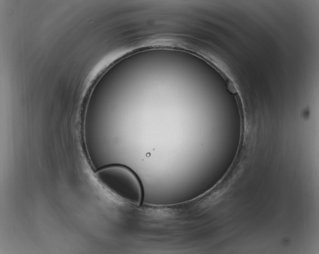 X0000116821045200912181403