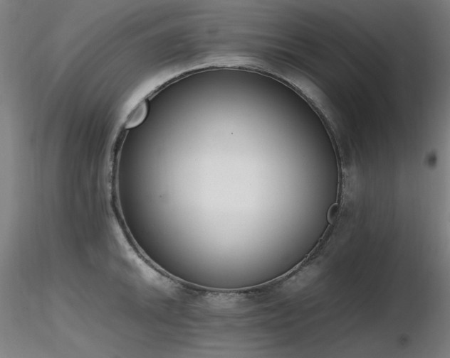X0000116821046200912181403
