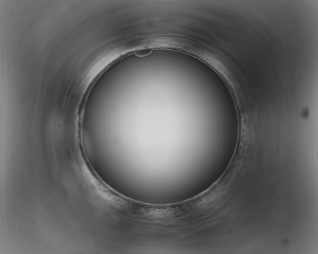 X0000116821047200912181403