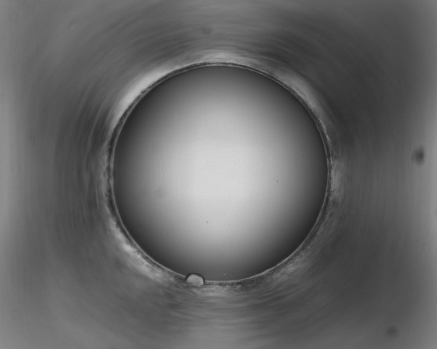 X0000116821048200912181403