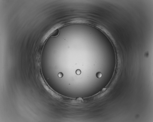 X0000116821049200912181403