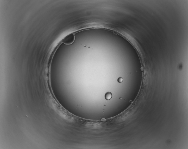X0000116821051200912181404