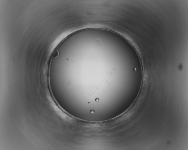 X0000116821054200912181404