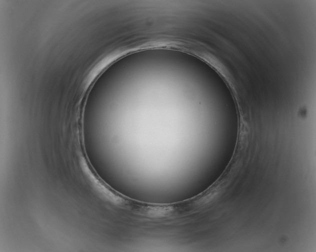 X0000116821055200912181404