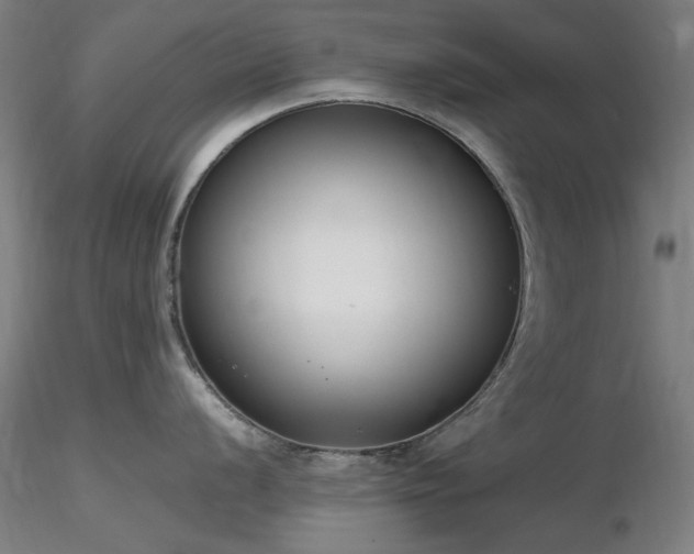 X0000116821056200912181404