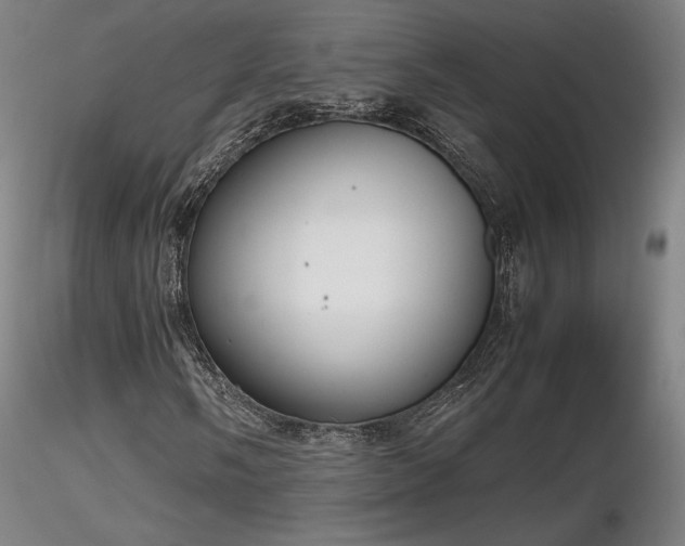 X0000116821058200912181403