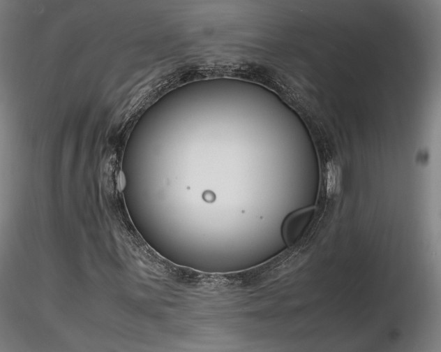 X0000116821059200912181403