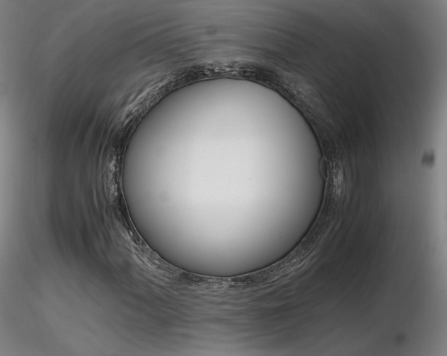 X0000116821060200912181403