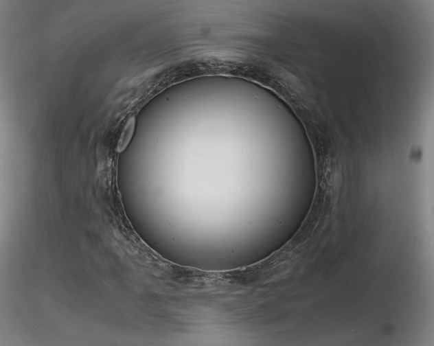 X0000116821061200912181403