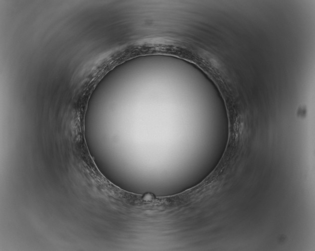 X0000116821062200912181403