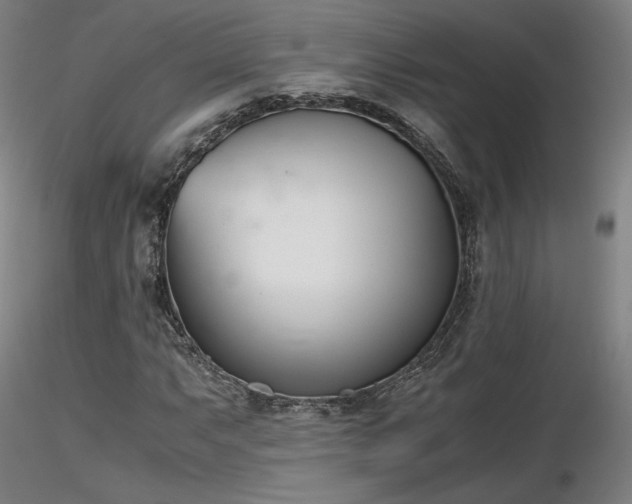 X0000116821063200912181403