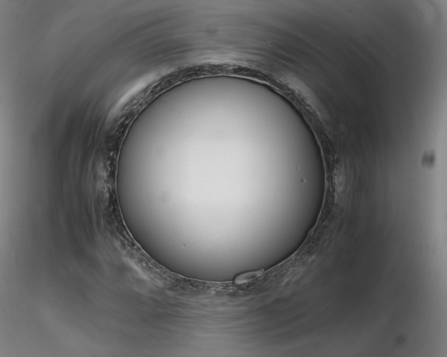 X0000116821064200912181403