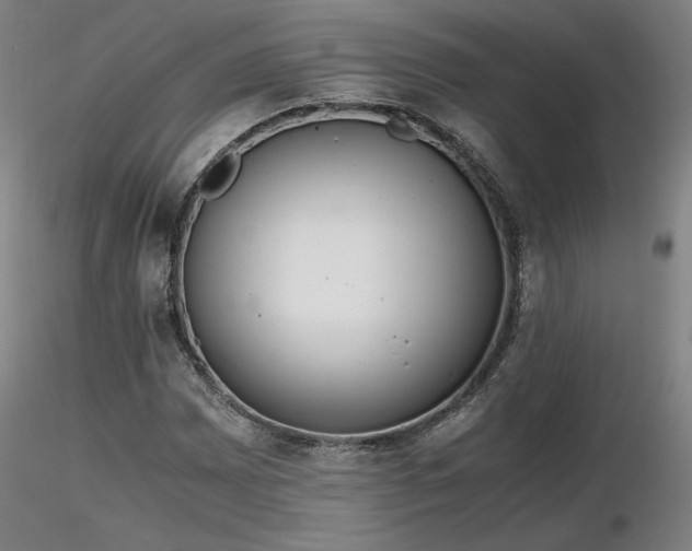 X0000116821065200912181403