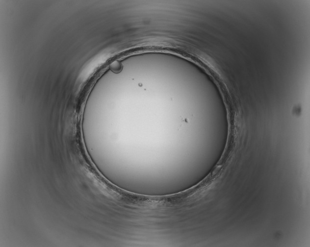 X0000116821067200912181403