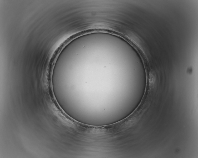 X0000116821068200912181403