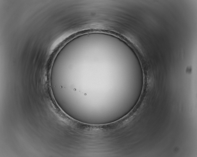 X0000116821070200912181403