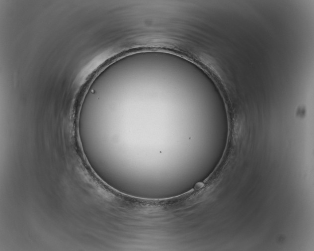 X0000116821071200912181403