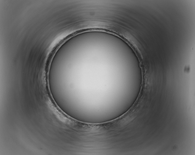 X0000116821072200912181403