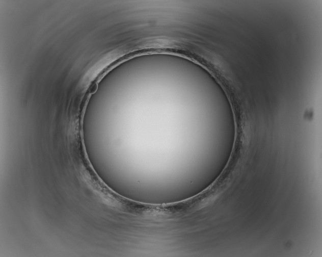 X0000116821073200912181403