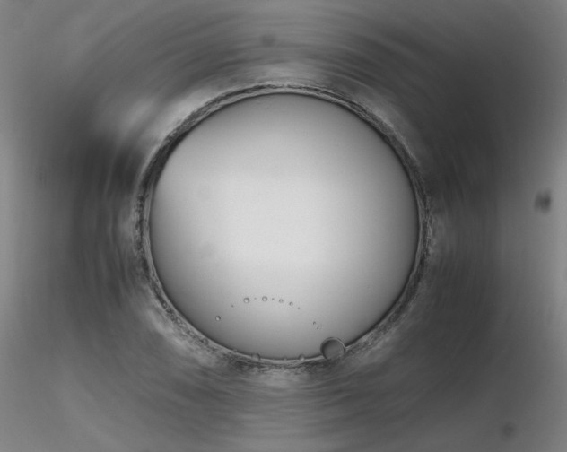 X0000116821074200912181403