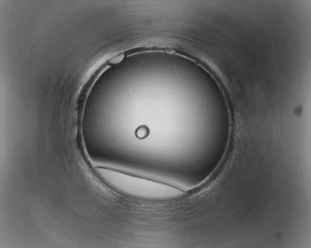 X0000116821075200912181403