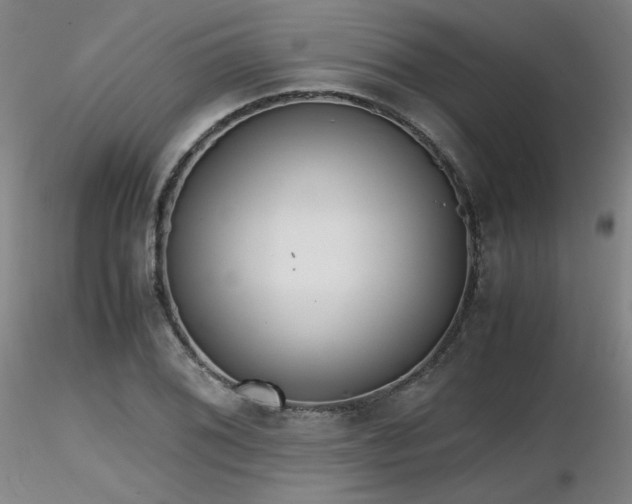 X0000116821076200912181402