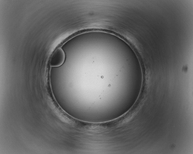 X0000116821077200912181402