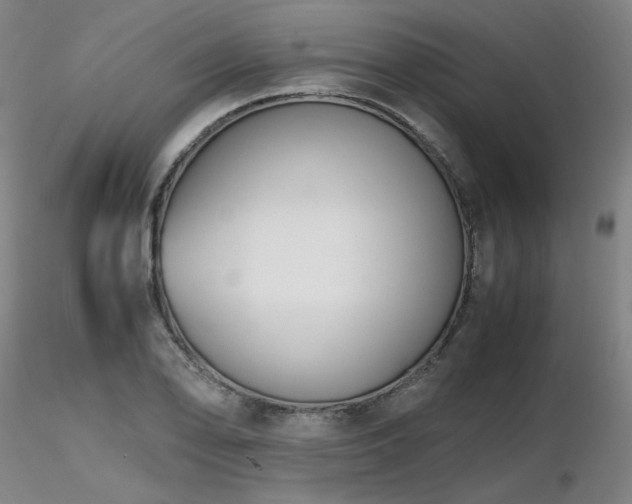 X0000116821078200912181402