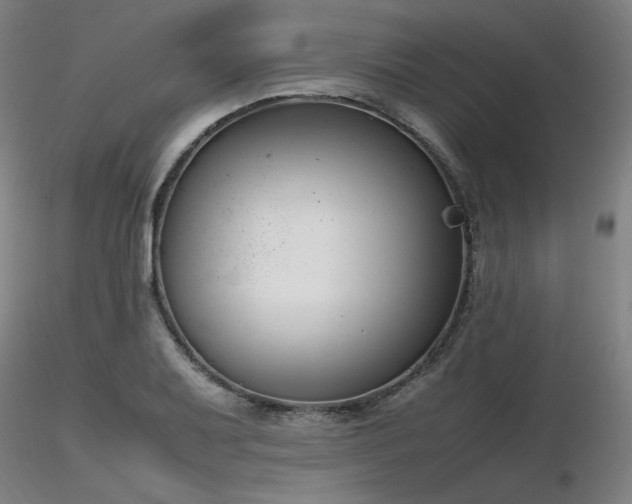 X0000116821079200912181402