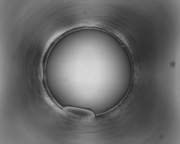 X0000116821080200912181402