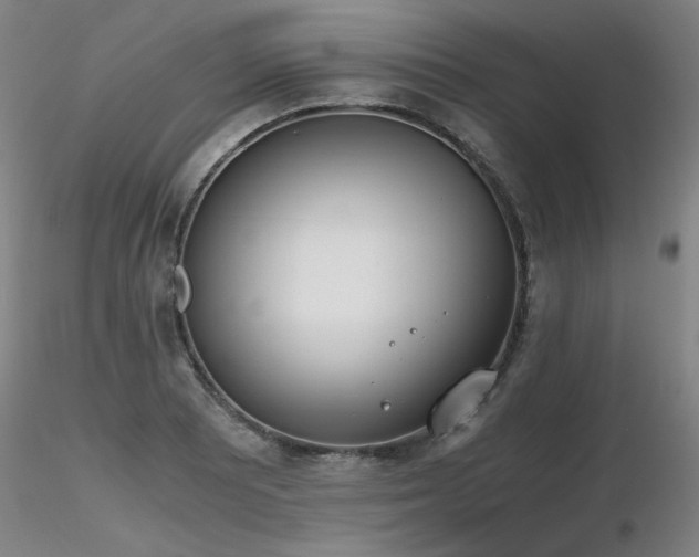 X0000116821081200912181402