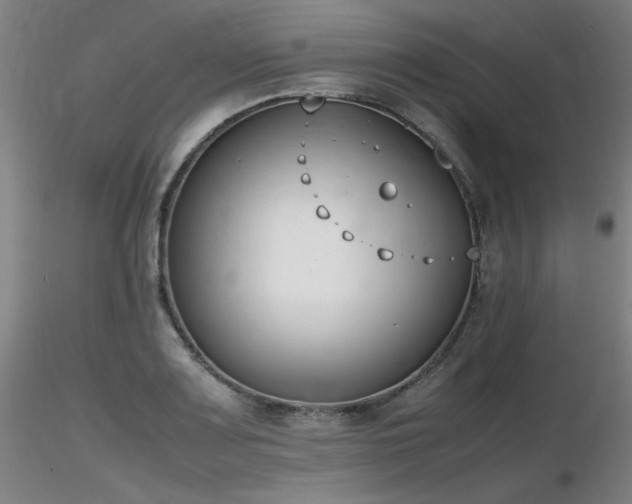 X0000116821083200912181402