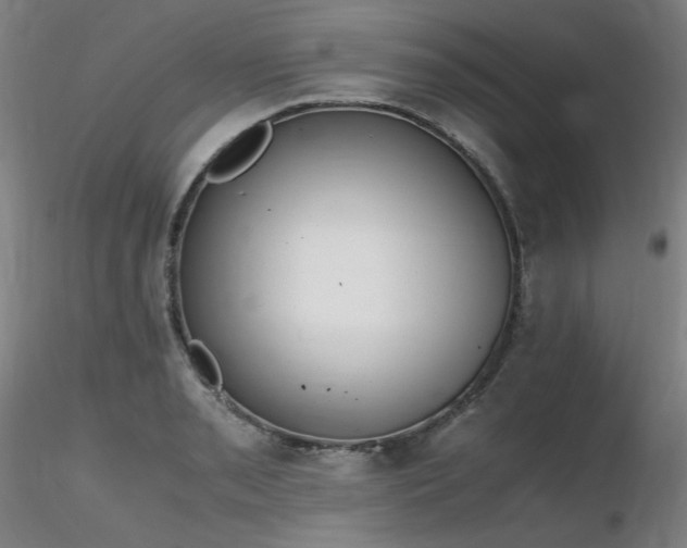 X0000116821085200912181402