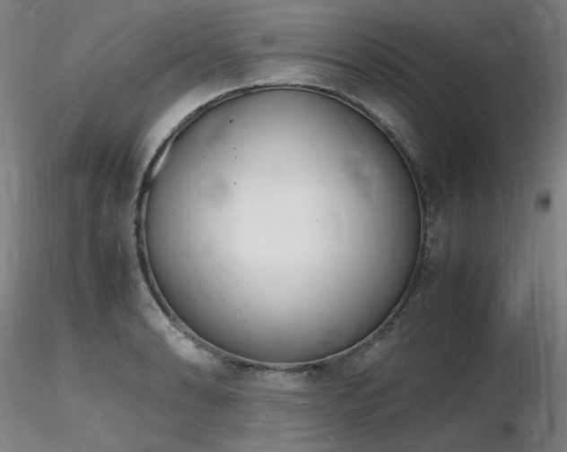X0000116821086200912181402