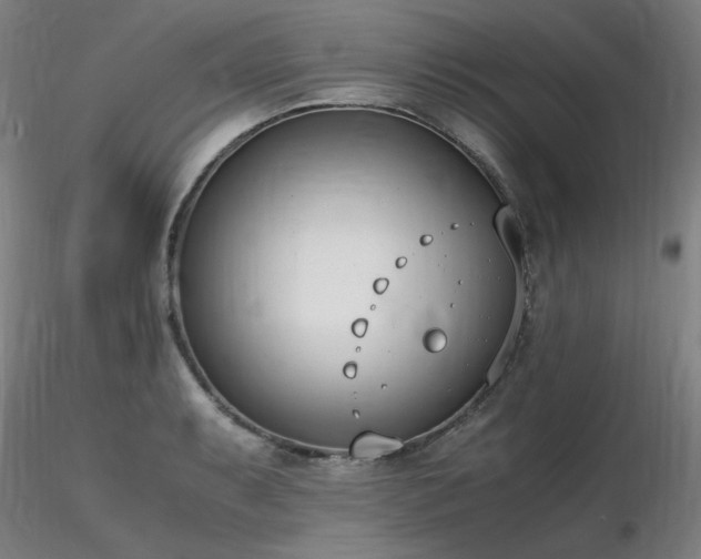 X0000116821087200912181402